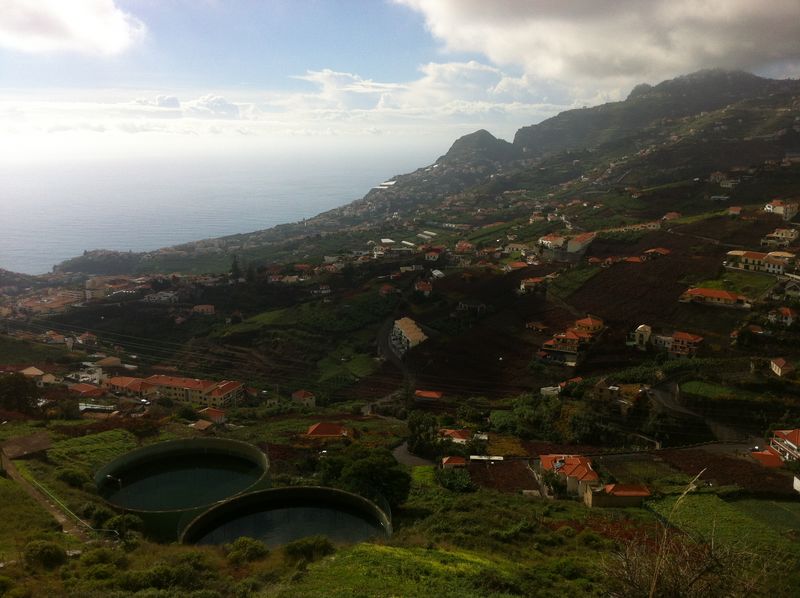 viñedos madeira